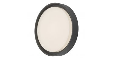 Ralph Large Outdoor Wall Light Anthracite IP65 LED