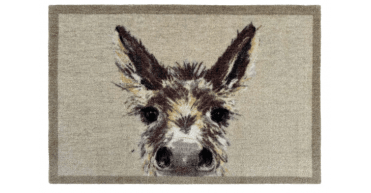 My Mat Nylon Indoor Printed My Donkey